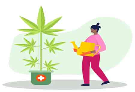 Health and Wellness Benefits of Cannabis